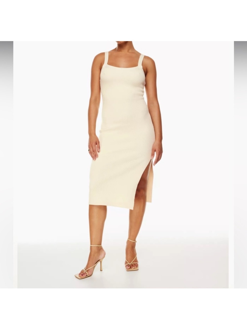 NWOT Aritzia Babaton Chase Dress